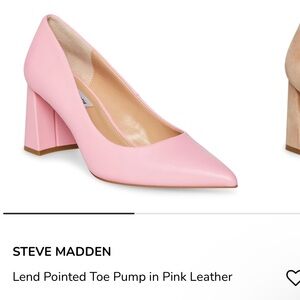 Steve Madden Lend Pointed Toe Pump in Pink Leather